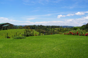 In the distance is the home of the owners.